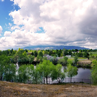 Landscape photo of trees and hills